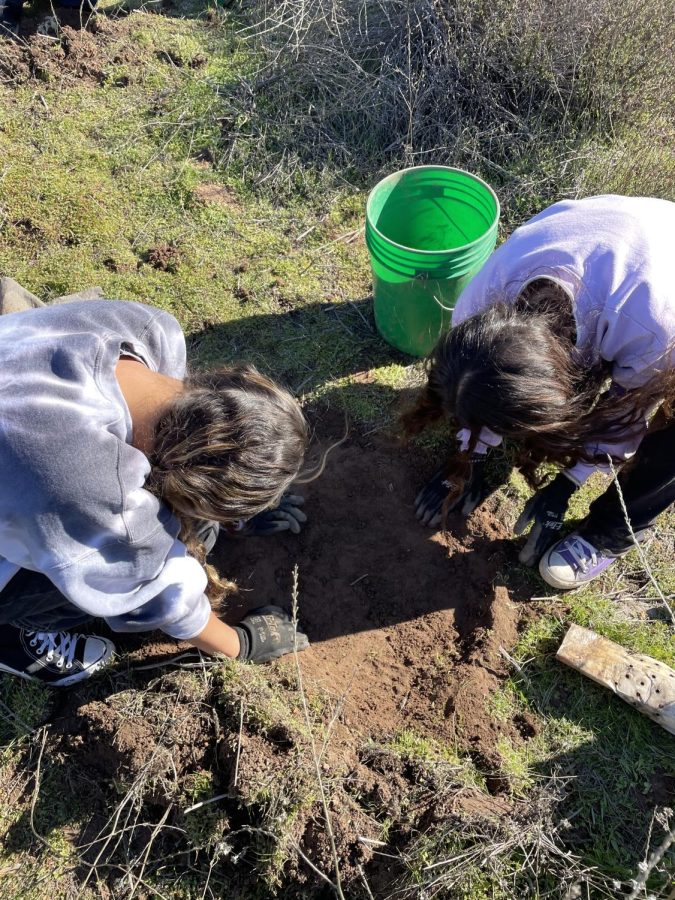 Sienna Stewart & Nadia Shammaie planting a sapling at TreePeople!