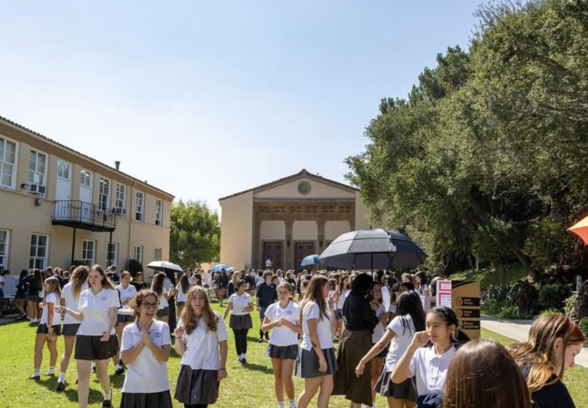 Activities Fair Recap!